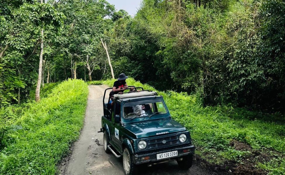 Kaziranga National Park Jeep Safari Image