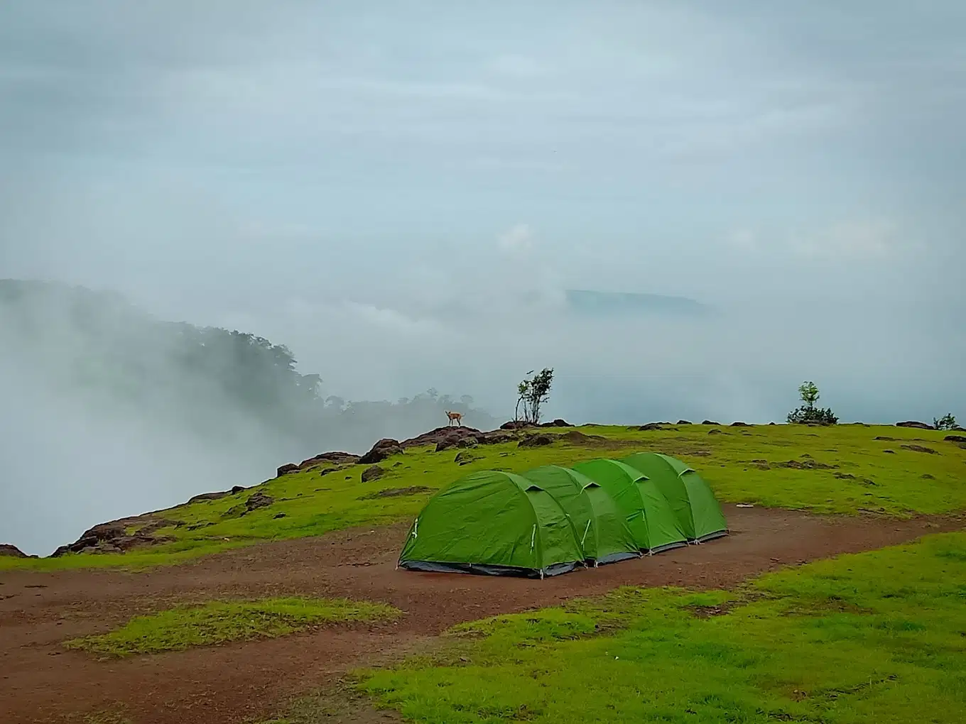 Prabalmachi Camping And Trekking, Panvel