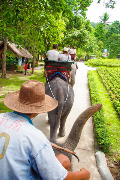Phuket Safari Tour Image