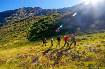 Vattakanal Trekking Kodaikanal