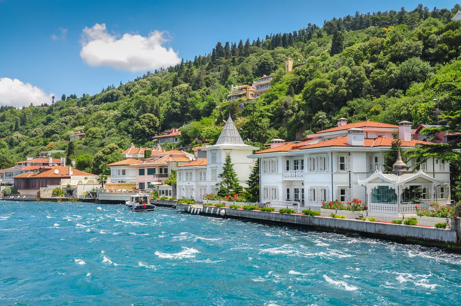Full Day Princes Islands Tour with Lunch Image