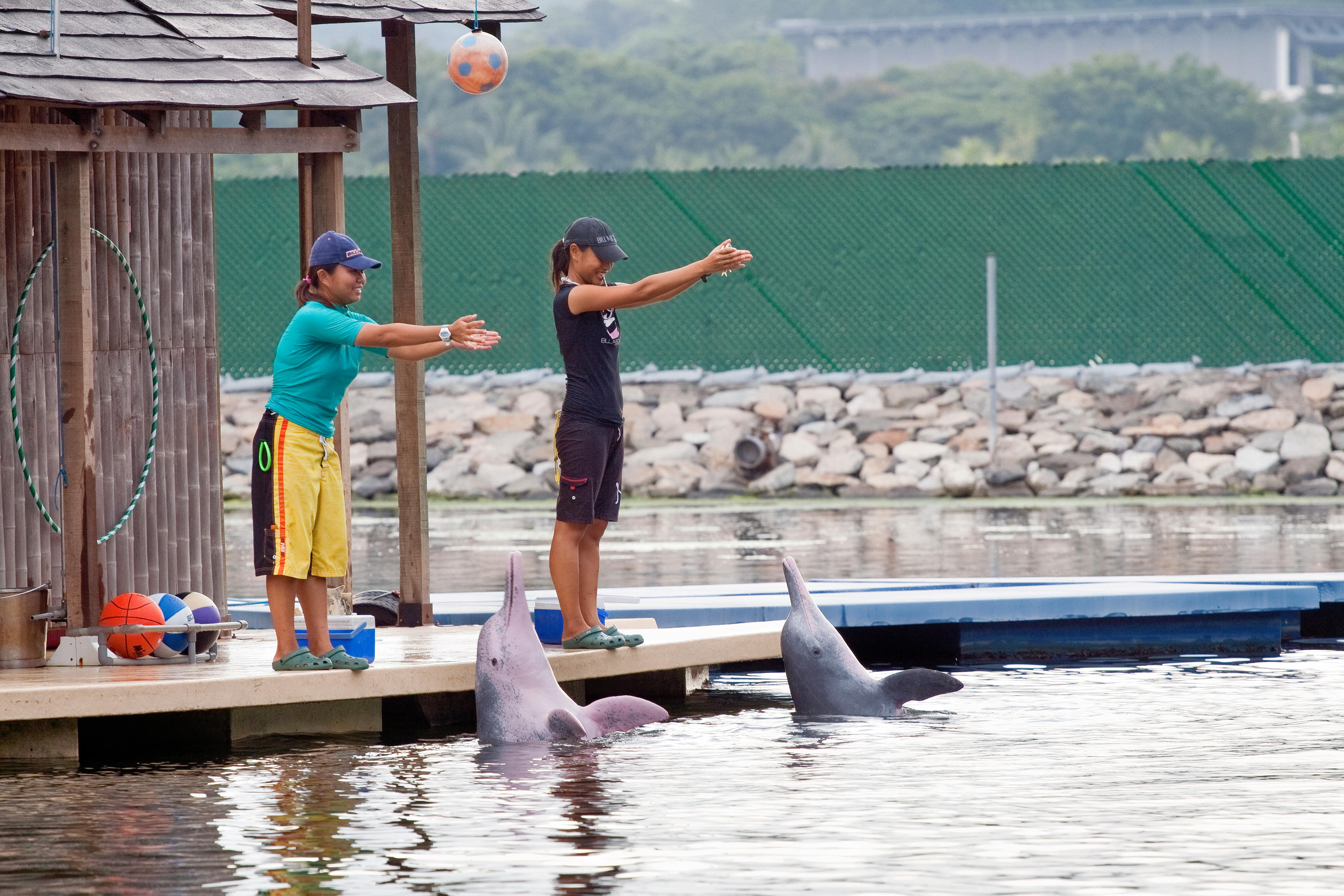 Dolphin Island Singapore