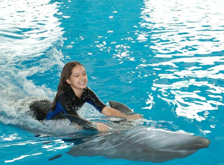 Enjoy at Dubai Dolphinarium