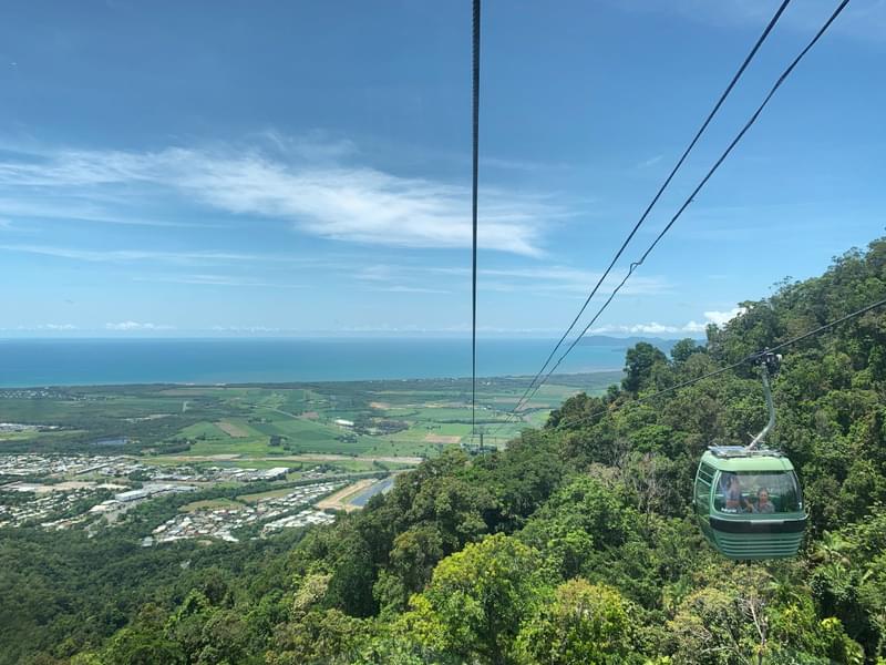 Highlights Of Skyrail Rainforest Cableway