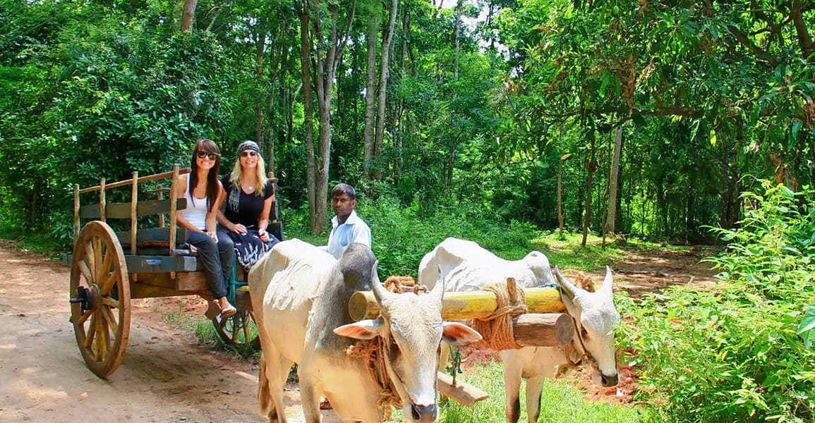 Excursion to Sigiriya Image