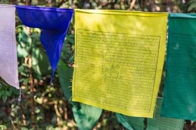 Join Annual Ritual Festivals