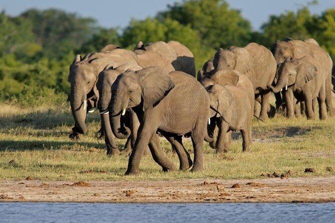 Hwange National Park2.jpg