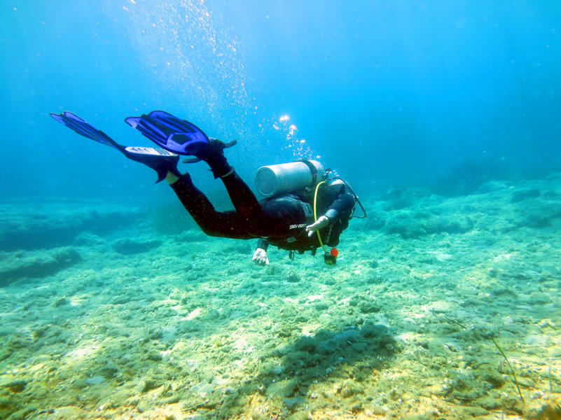Scuba Diving in Nea Makri, Athens Image