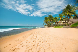 Zmnji2g1z6x5zdk28nqxc3tk03as shareiq 1648 1491977774.749214