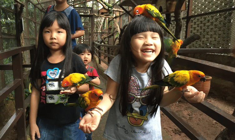 Visit KL Tower Mini Zoo in Kuala Lumpur to immerse in the beauty of nature