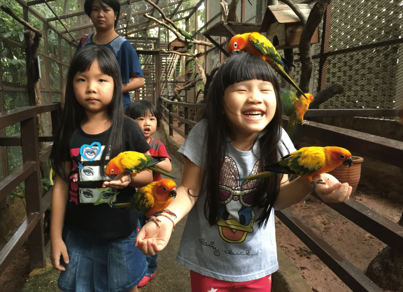 Visit KL Tower Mini Zoo in Kuala Lumpur to immerse in the beauty of nature