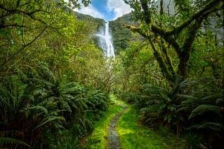 Milford Sound Hiking