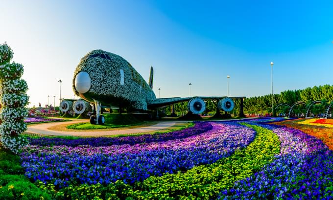 Airplane Covered in Flowers in Dubai Miracle Garden