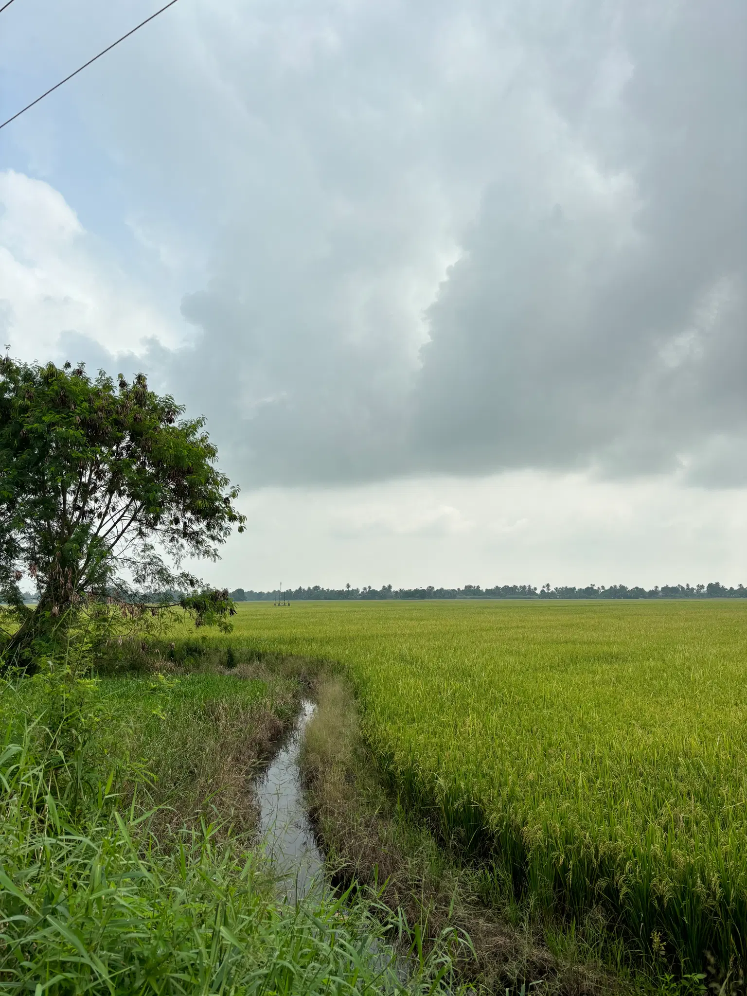 Photo from Antika Antika's trip