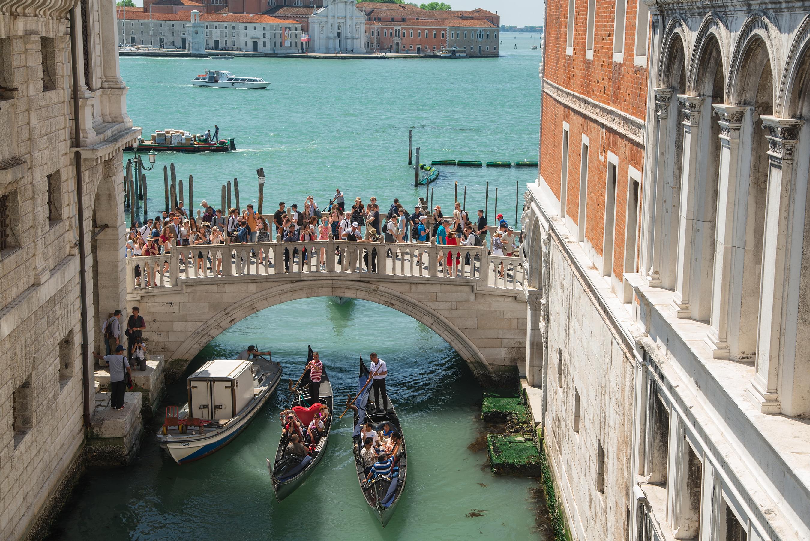 Boat Tours venice