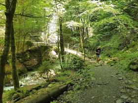 Zoliu5fka809bozqawy5mdk1rje5 2021 05 31