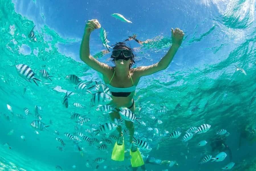 Swimming