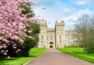 Zoumy7vy2b1gfi35r8jzz1xn94ar 7xm.xyz374062