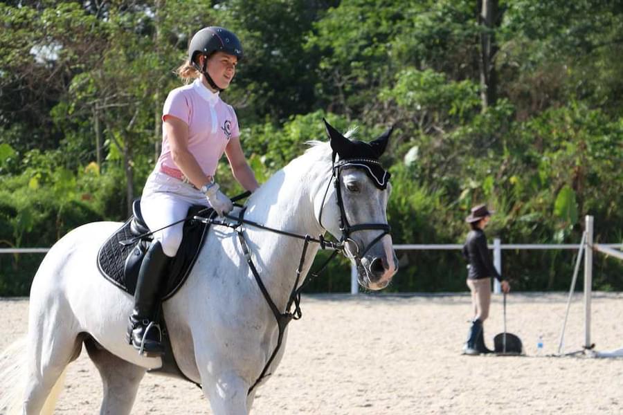 Enjoy fun-filled session of horse riding in the stable