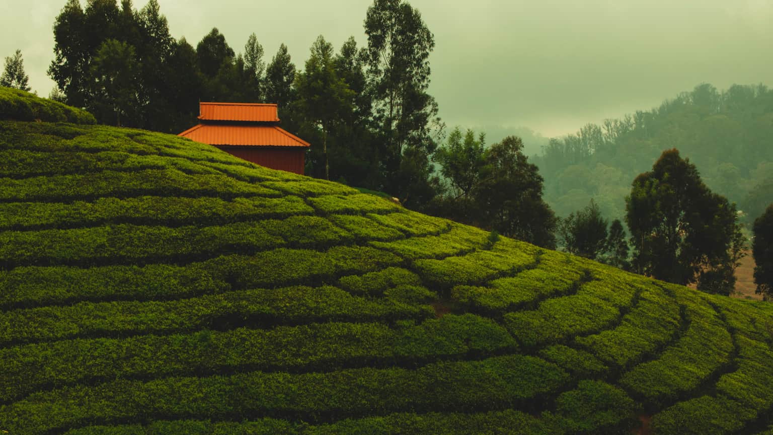 Best Scenic Tours of Tamil Nadu