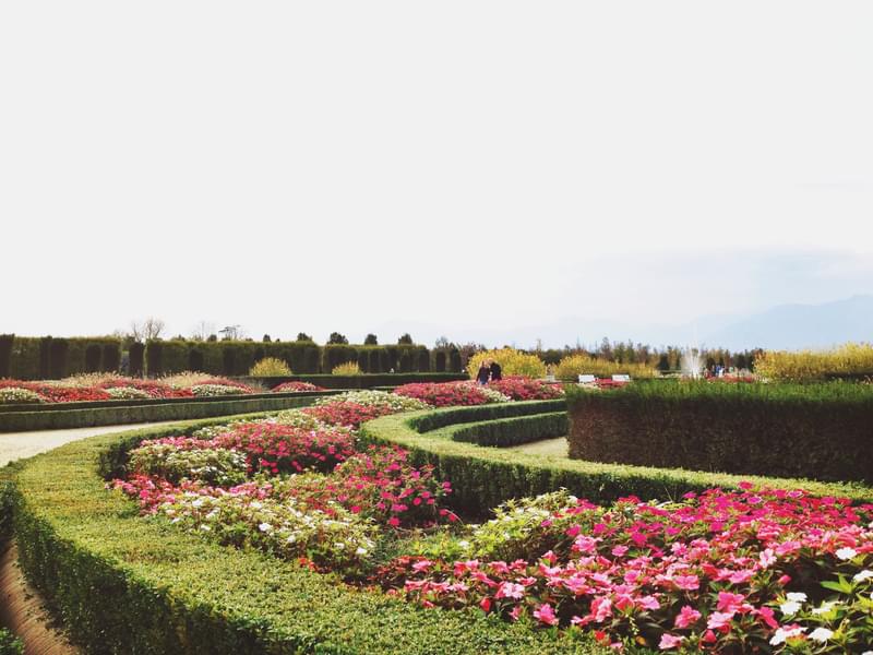 Plan Your Visit to Venaria Reale Gardens