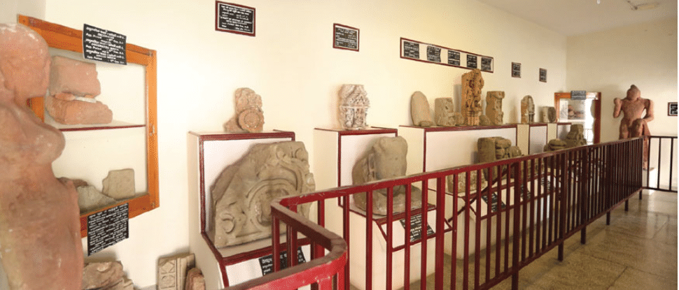 Discover the Museum