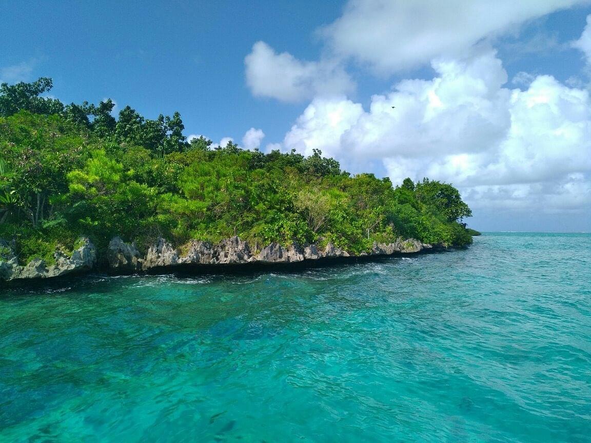 Ile aux Aigrettes Overview