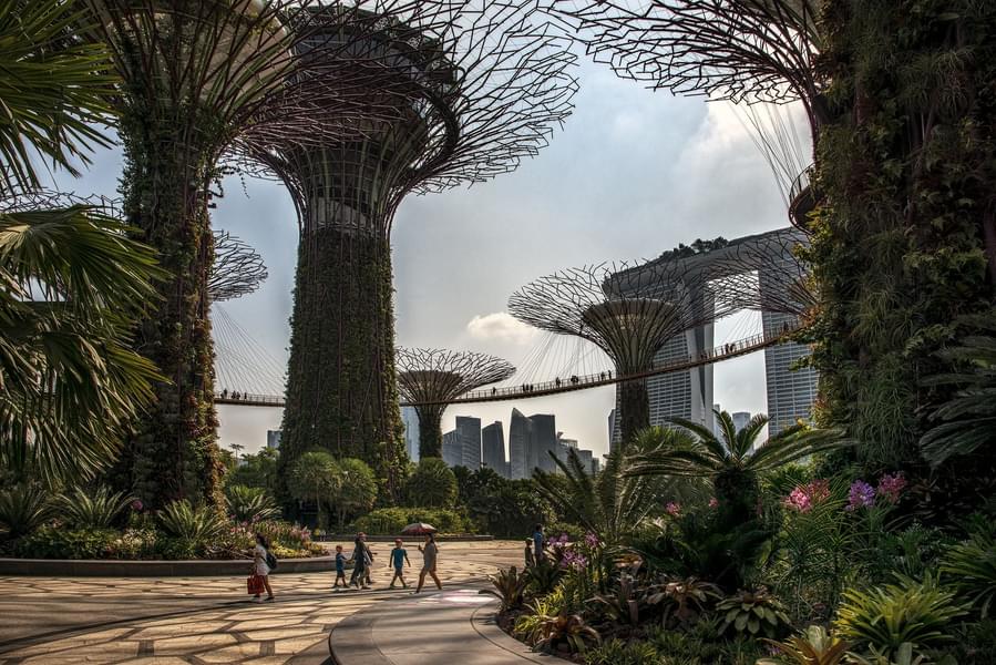 Get Amazed at Gardens by the Bay