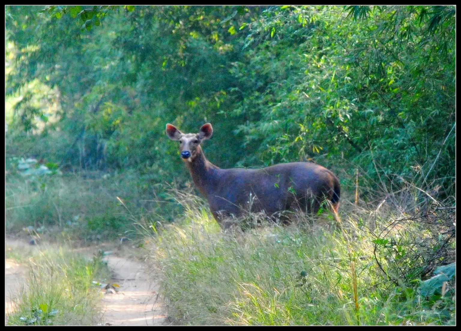 Photo from Eekalabya Devar's trip