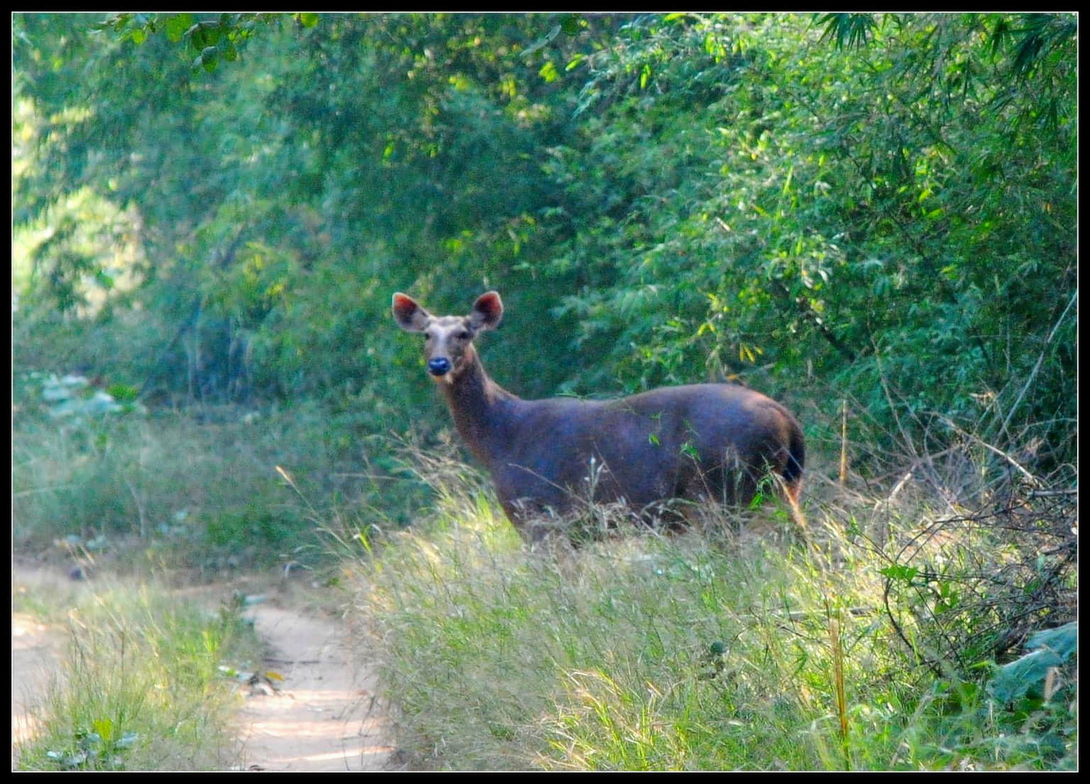 Photo from Eekalabya Devar's trip