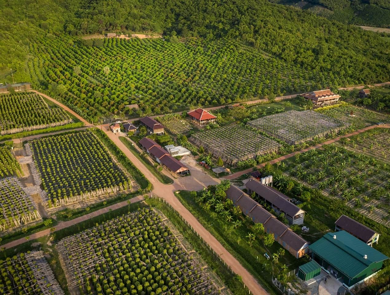La Plantation, <em>Kampot</em>