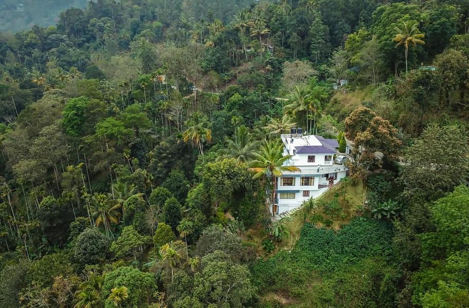 A Farm Stay Amidst the Spice Gardens of Munnar Image