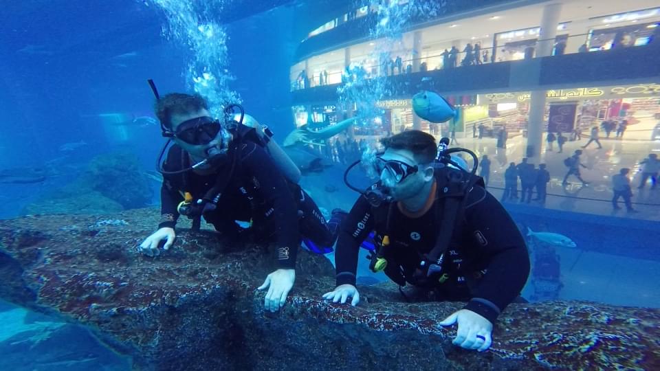Discover Scuba Diving Dubai