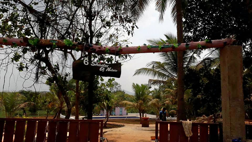 6 Shades Of Nature Image