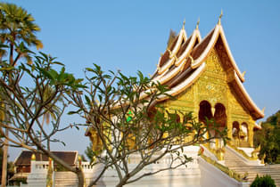 Zse2hnnguqtk6ovmonp28fjghl3f 1462530180 6678627853 a3e9557a7d o