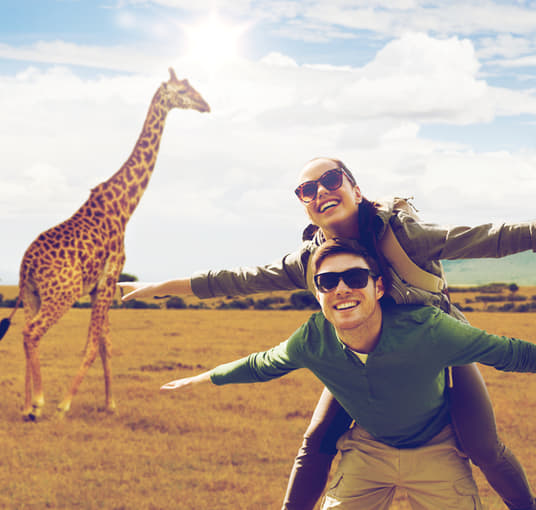 Mesmerising experience of Game Drive with your beloved