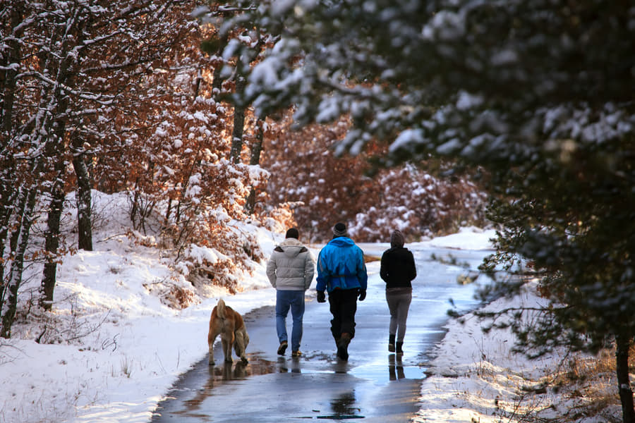 Dachigam National Park Guided Tour Image