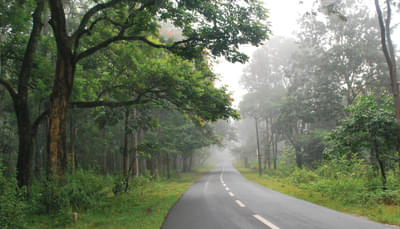 Wayanad Tour Package From Bangalore Day 1