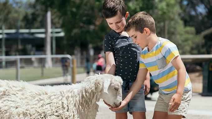 Farmyard Play Paddock