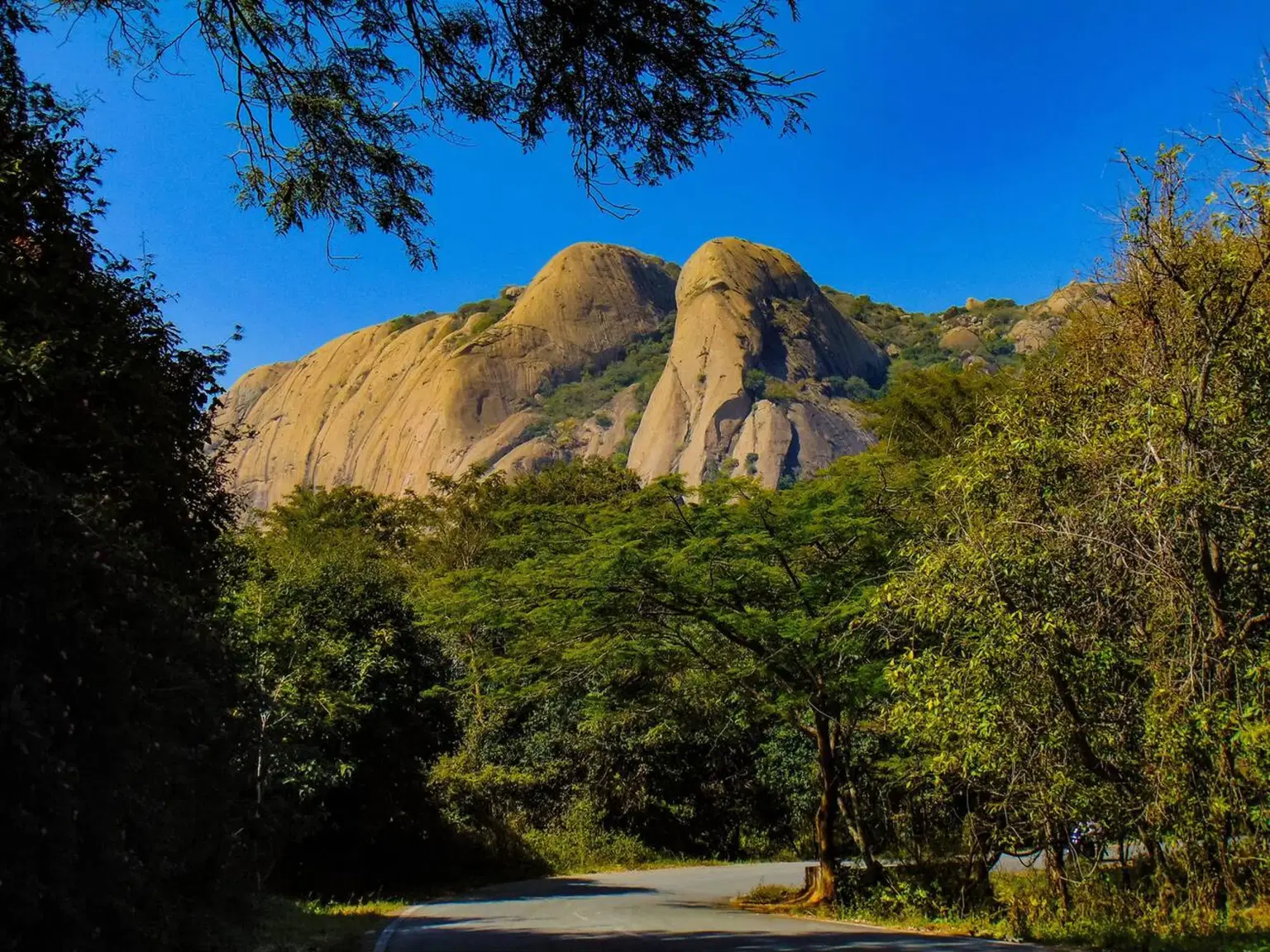 Challenge yourself with a steep ascent as you tackle Asia's largest monoliths on the Savandurga trek