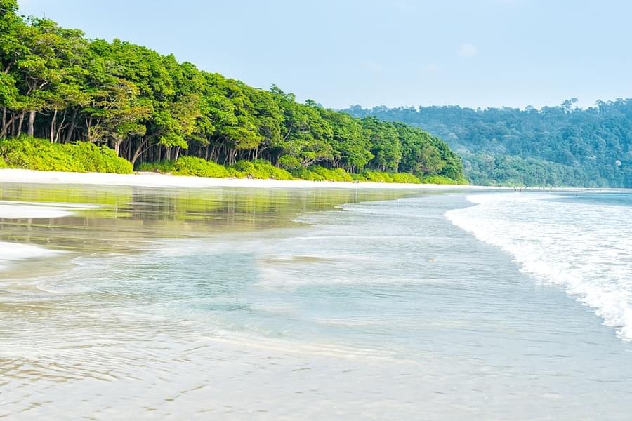 Andaman Tour Package From Chennai By Ship Image