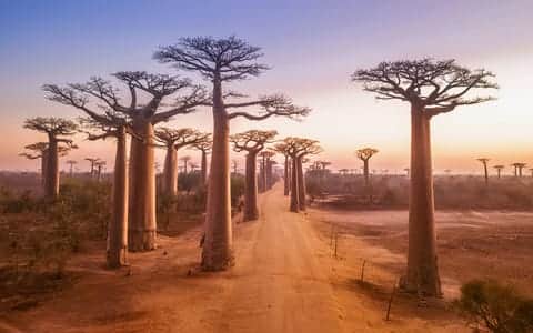 Madagascar Group Tour Packages