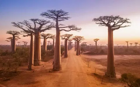  Best Madagascar Tour Packages for Family