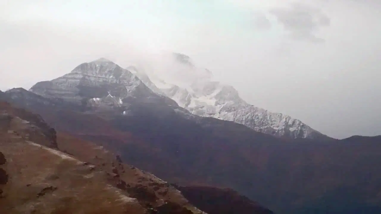 Photo from Vidhya Kapoor's trip