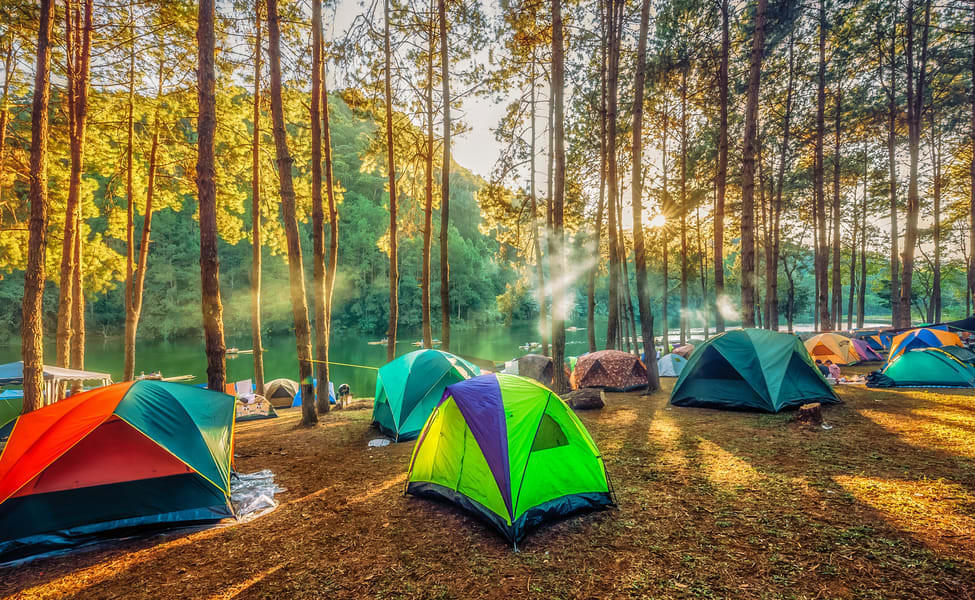 Camping Experiences in Yelagiri - Upto 40% Off