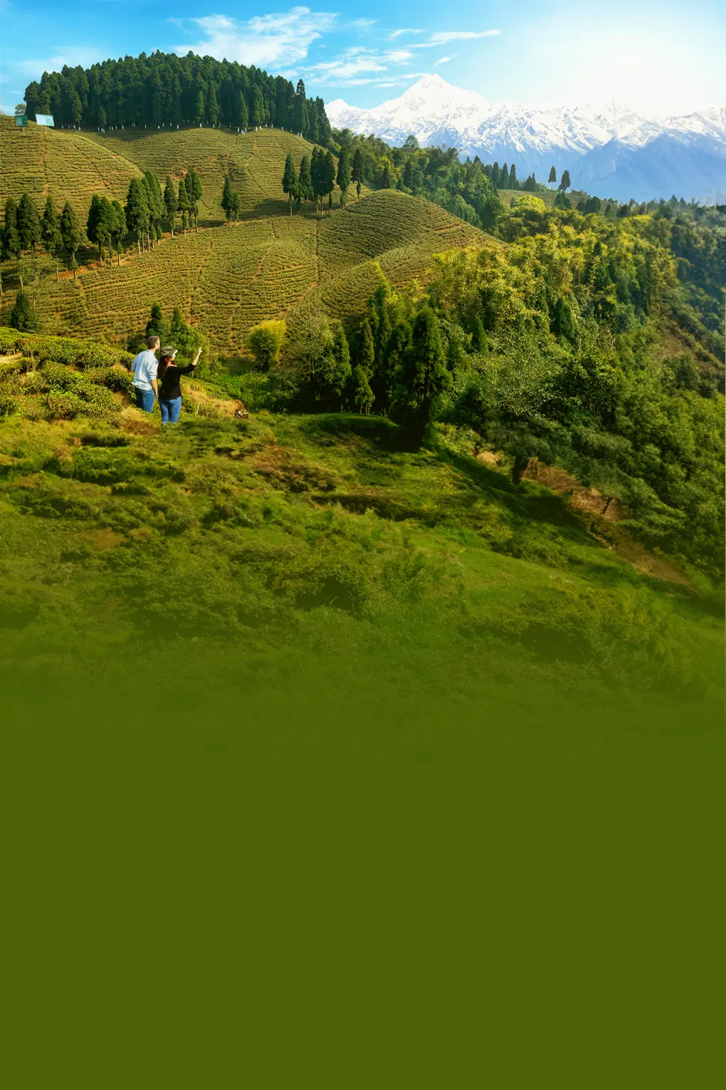 Romantic Vacation in Sikkim with Darjeeling | FREE Visit to Tiger Hill