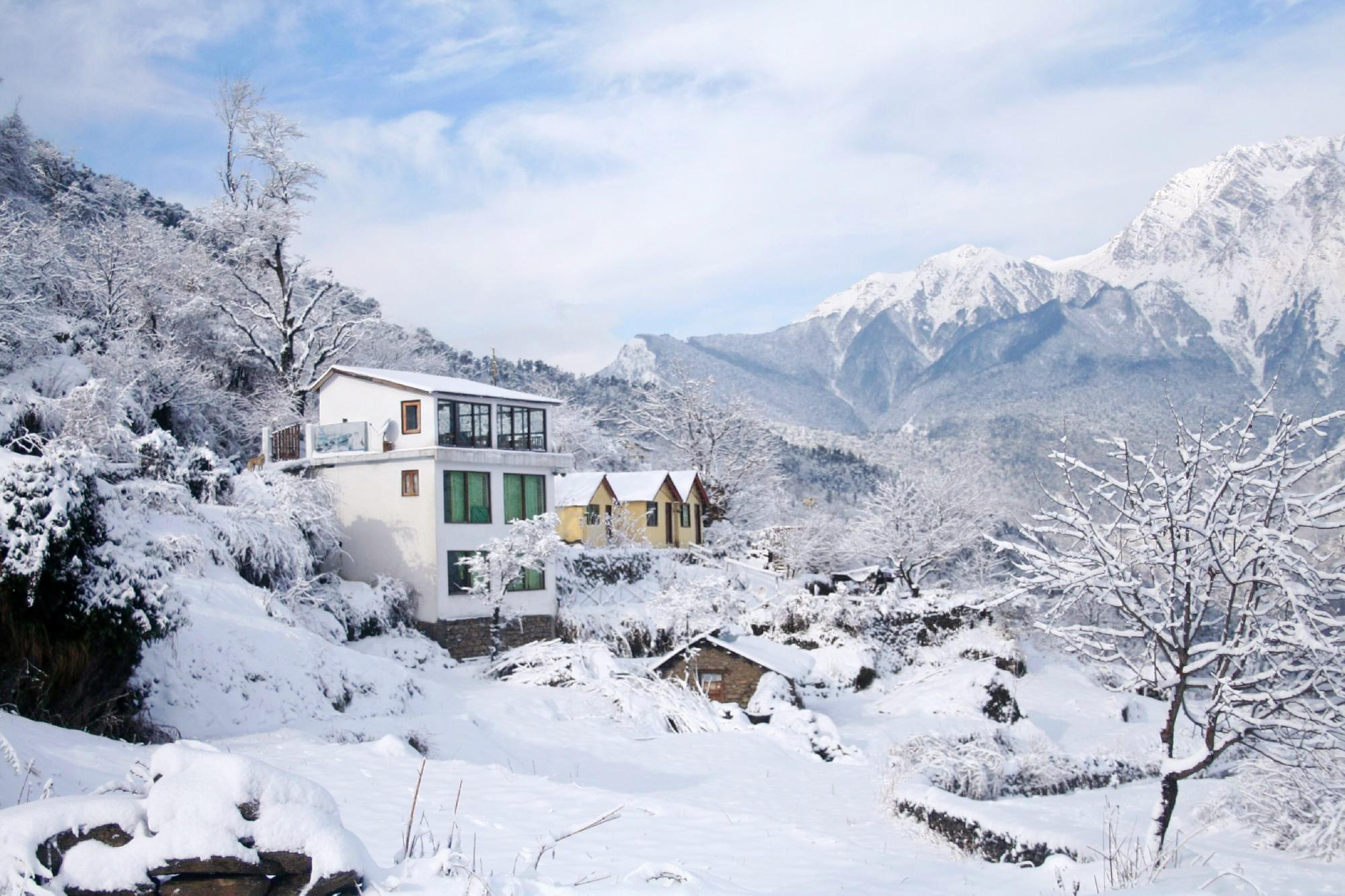 Cottage Stay In Paradise Of Ice, Auli