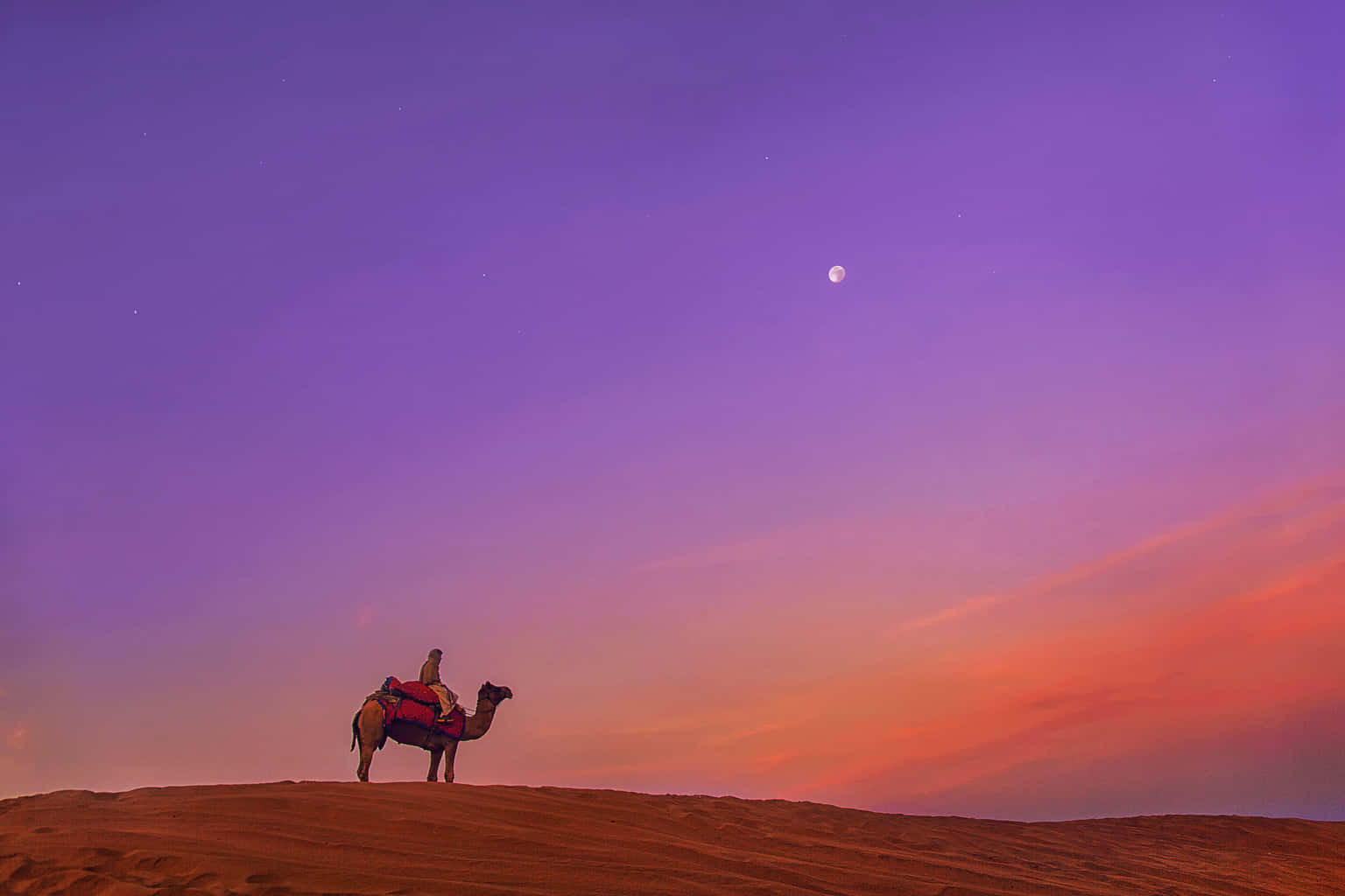 Half-Day Camel Safari in Jaisalmer