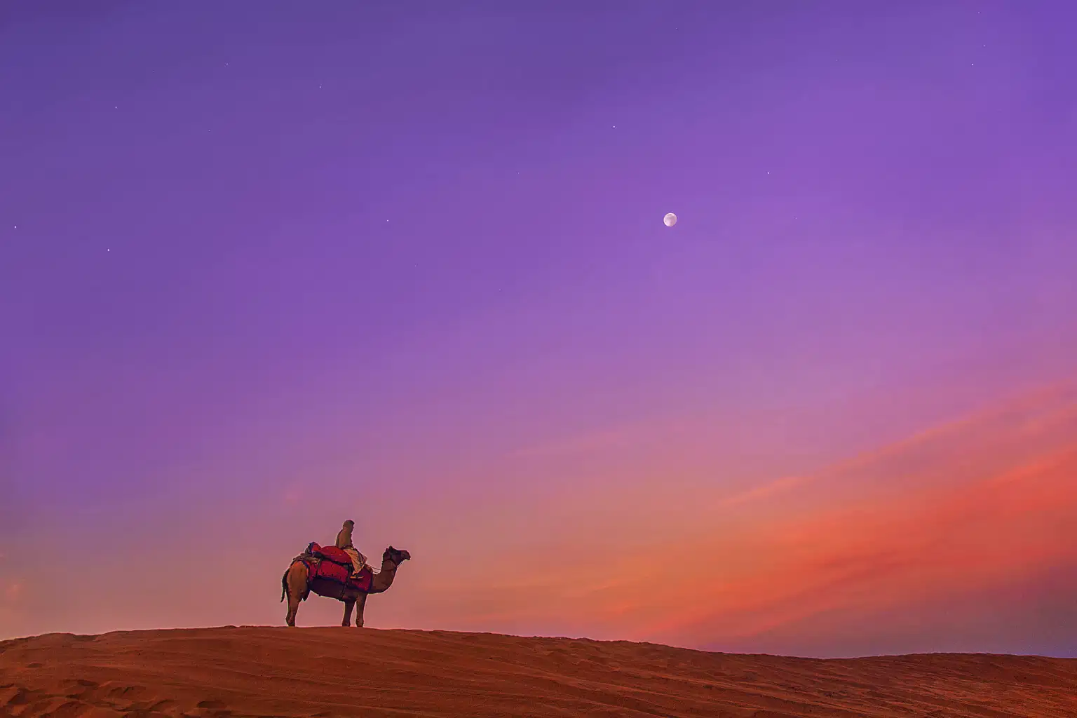 Half-Day Camel Safari in Jaisalmer
