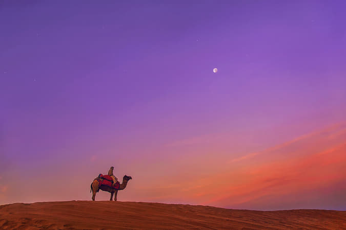 Zvd82jnrnzndkzwcujsmp9lc9wyl shutterstock 693914233